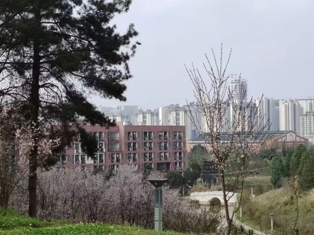 图片 图片